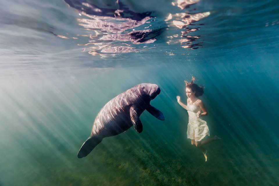 Elena Kalis Photography