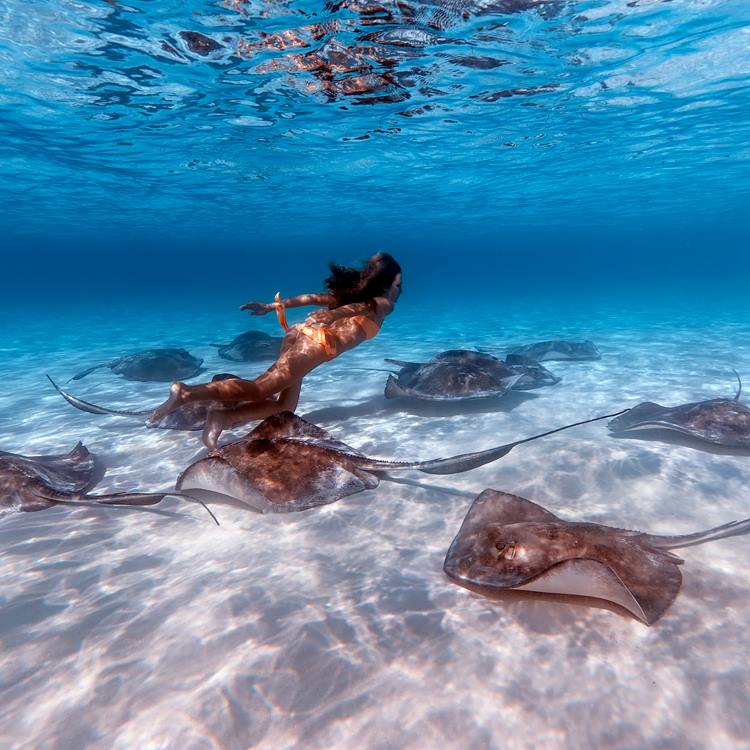 Elena Kalis Photography