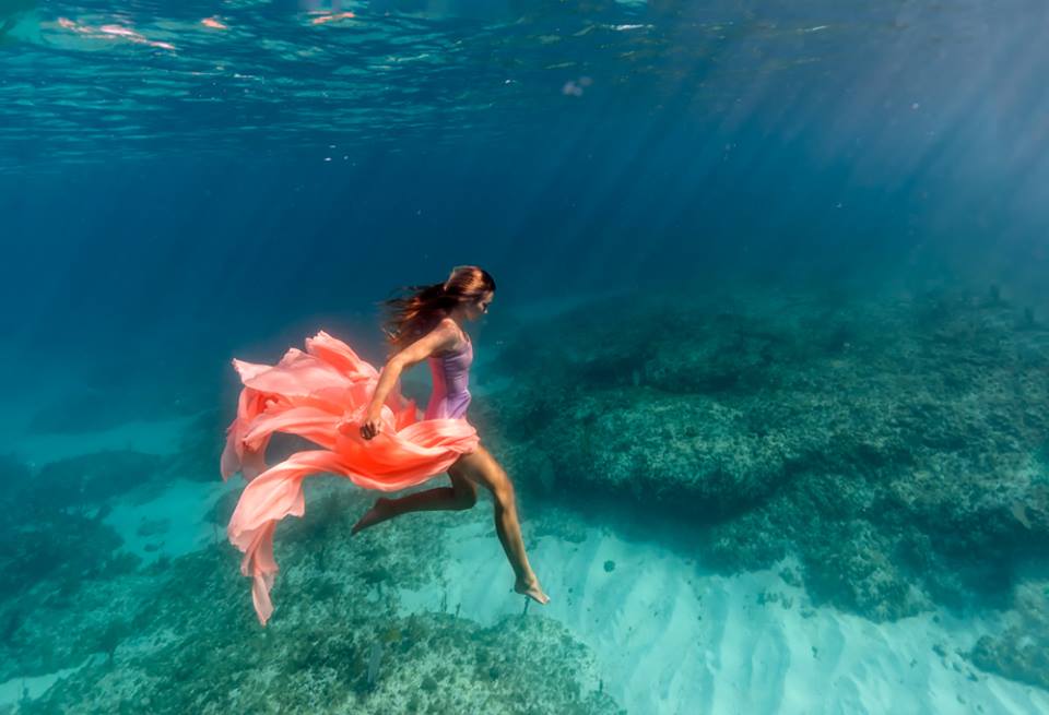 Elena Kalis Photography