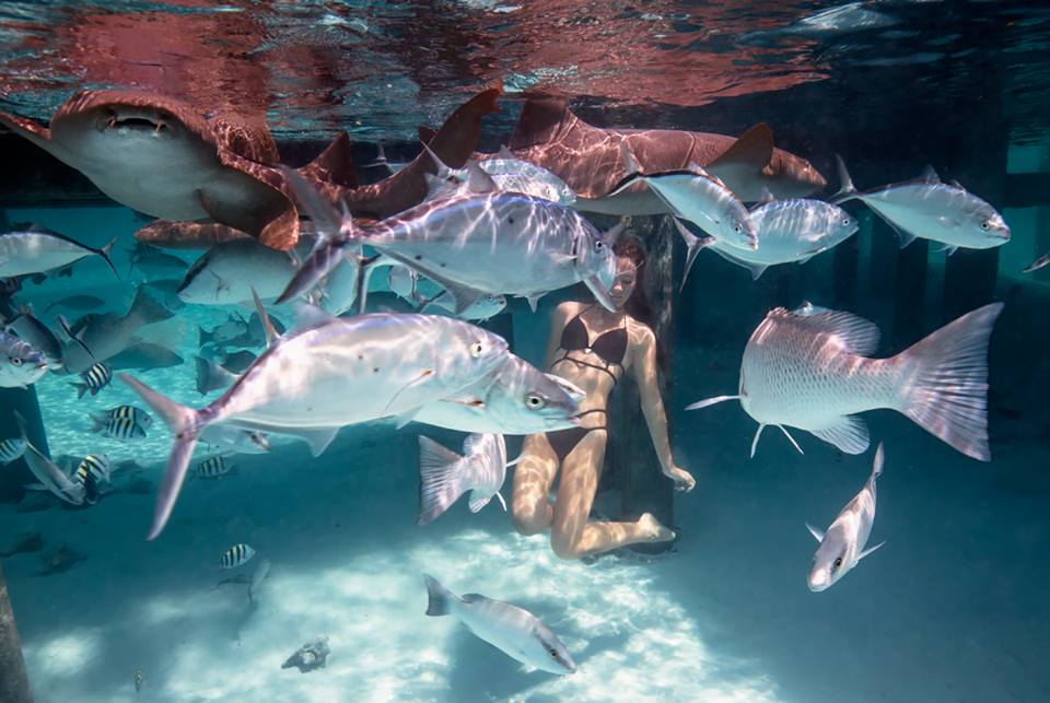 Elena Kalis Photography