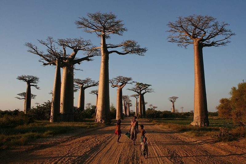 (Photo: Gavinevans/CC BY-SA 3.0)