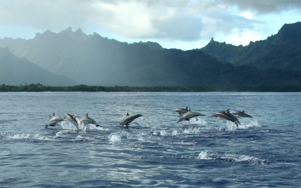 Kosrae Nautilus Resort, travelandleisure.com