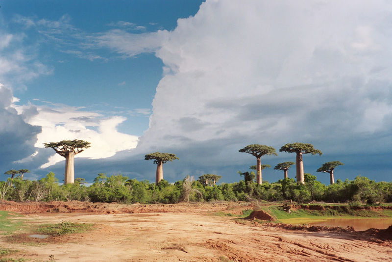 (Photo: plizzba/CC BY-SA 2.0)