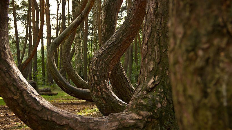 (Photo: Kengi/Public Domain)