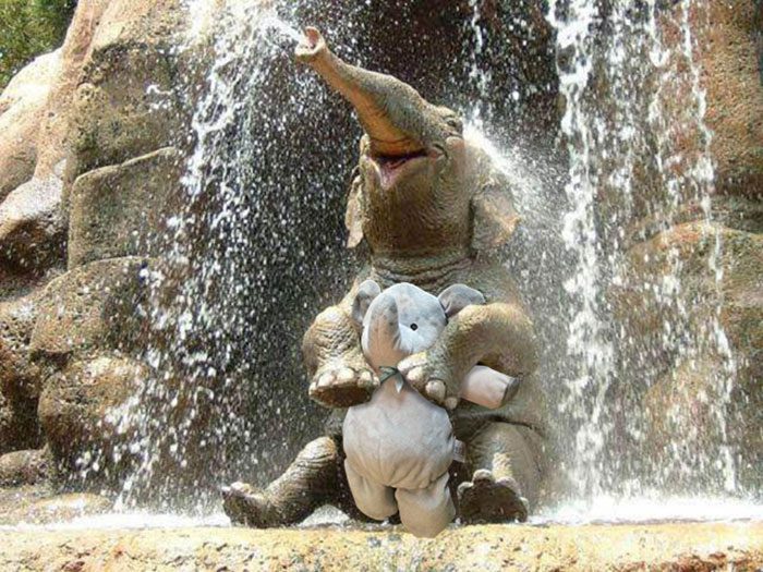 boredpanda.com