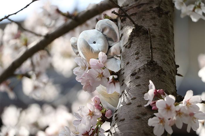 boredpanda.com