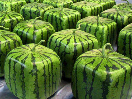 http://www.awesomeinventions.com