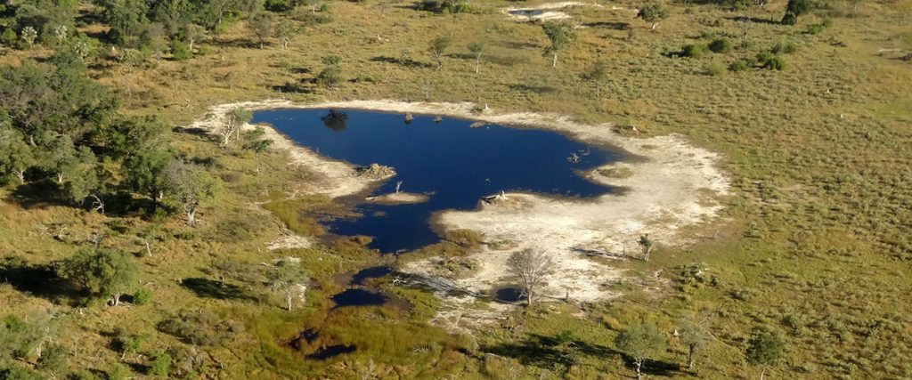 okavangodelta.com