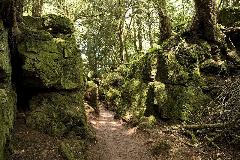 (Photo: George Boyce/CC BY 2.0)