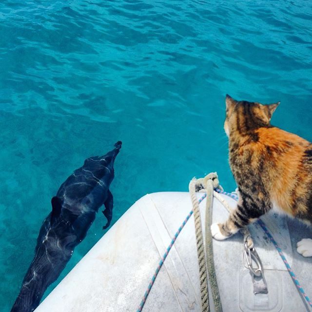 swellvoyage.com, travelandleisure.com