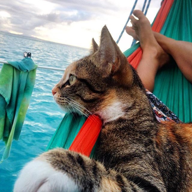 swellvoyage.com, travelandleisure.com