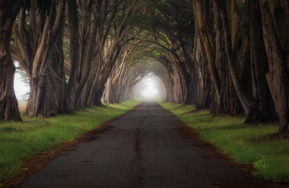 green-landscape.com