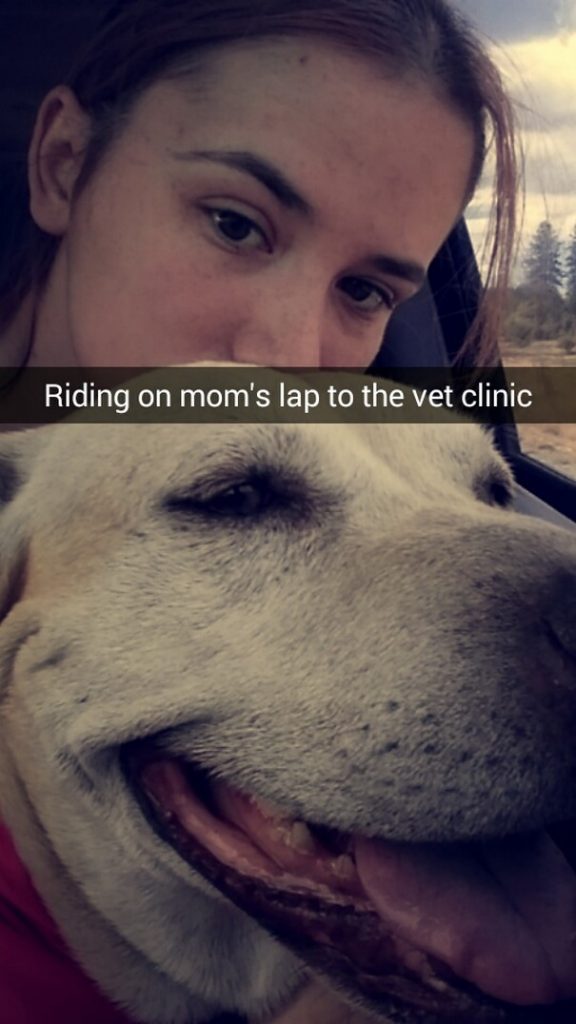 18