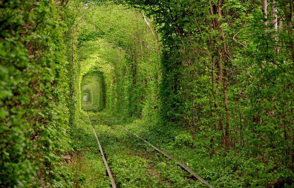 green-landscape.com