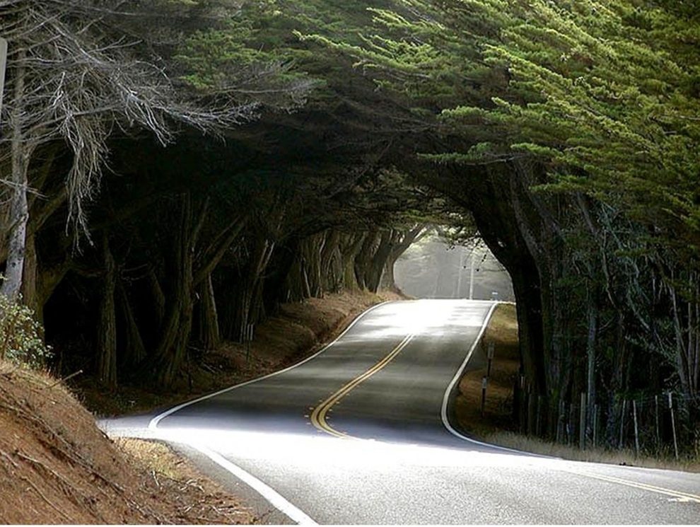 green-landscape.com