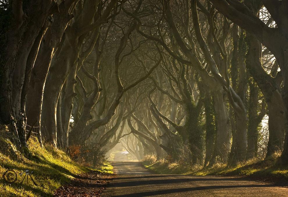 green-landscape.com