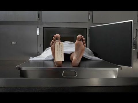 7 najhorších zamestnaní, ktoré by ste nechceli mať v životopise