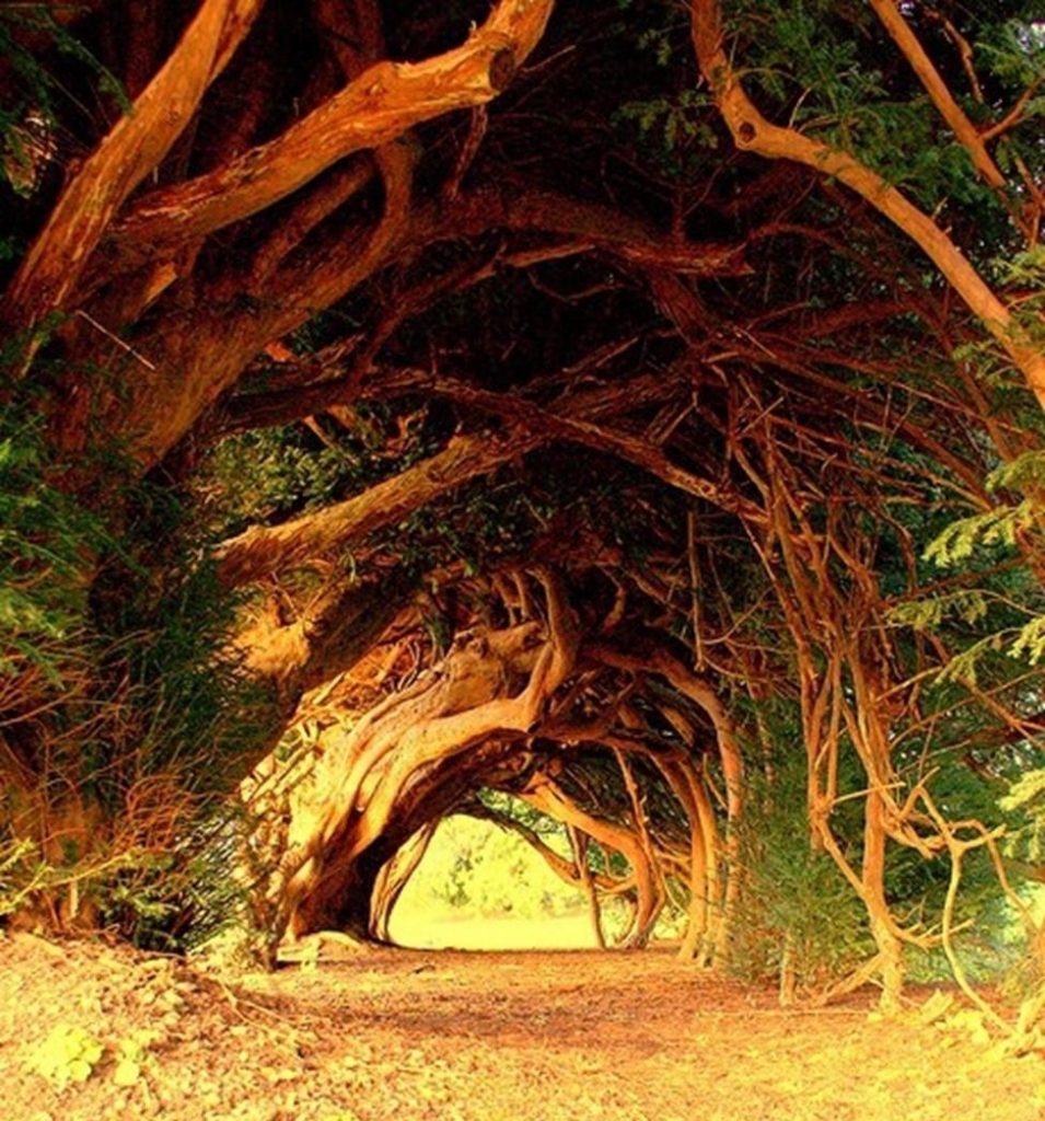 green-landscape.com