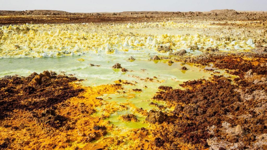 Tanveer Badal, bbc.com
