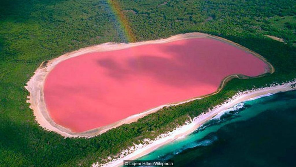 Credit: Liqeni Hillier/Wikipedia, bbc.com