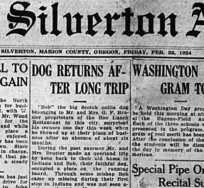 silverton-appeal-bobbie-wonder-dog-400