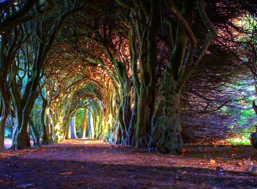 green-landscape.com