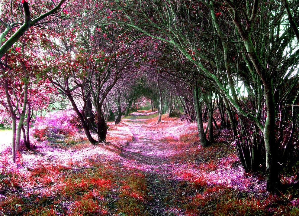 green-landscape.com