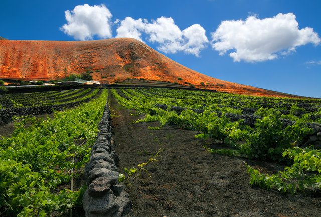 anyaivanova/Shutterstock, thrillist.com