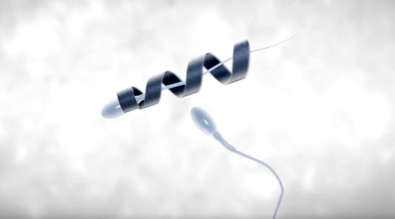 Nový spôsob vzniku života: Spermbot