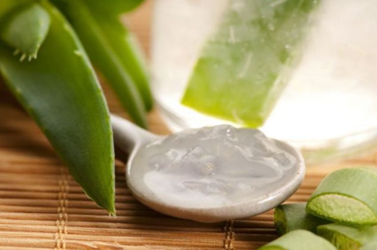Aloe Vera – 6 jednoduchých domácich receptov, ktoré sa vám zaručene budú hodiť