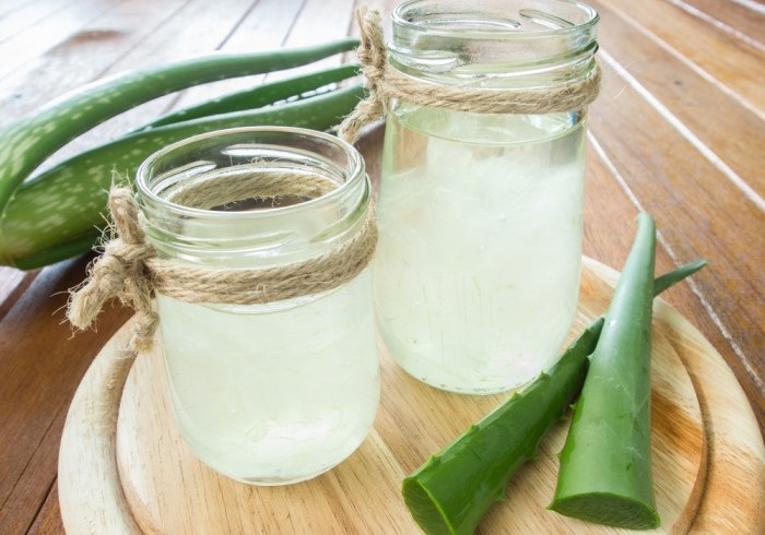 aloe-vera-stava
