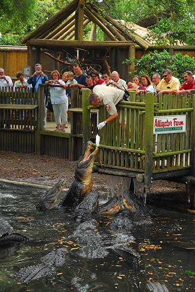 Florida Youth Conservation Centers Network