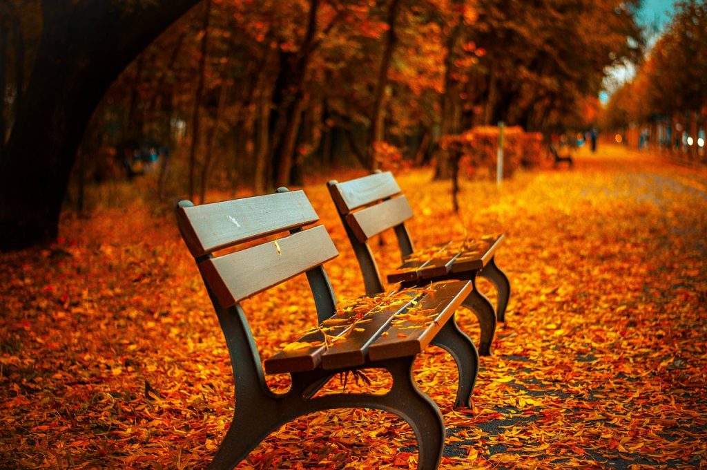 pixabay.com