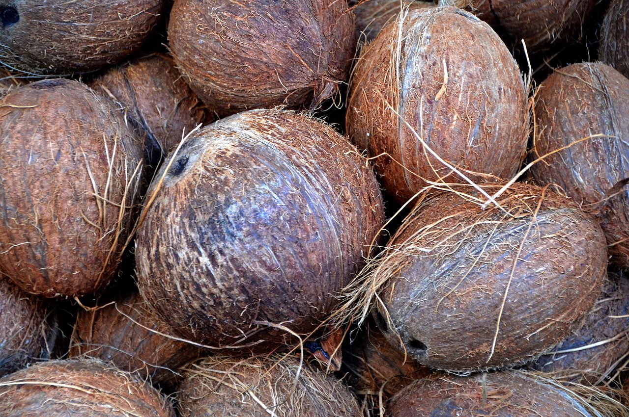 kokosy
