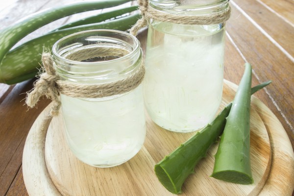 Poznáte účinky gélu z rastliny Aloe vera ?