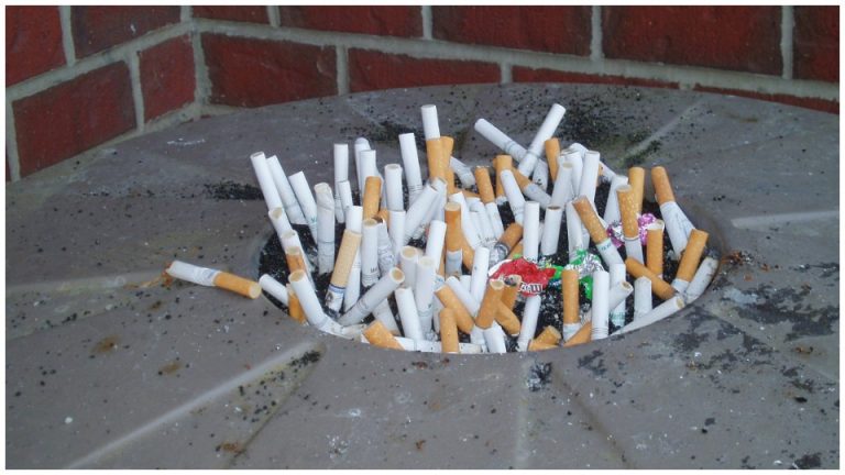 Odhadzovanie odpadkov na zem môže mať fatálne následky. Viete, koľko sa rozkladá cigaretový ohorok?