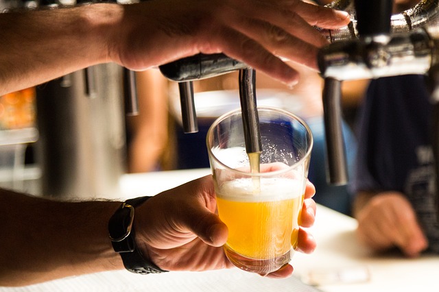 Prvé pivo s obsahom probiotík je na svete – Singapúrski vedci vynašli zdravé pivo, ktoré by malo podporovať imunitu
