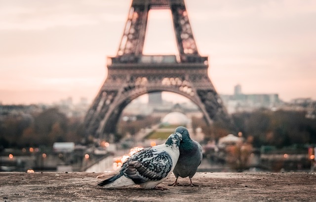 Všetko, čo potrebujete vedieť pred cestou do Paríža – tipy na dopravu, letenky, zážitky i jedlá