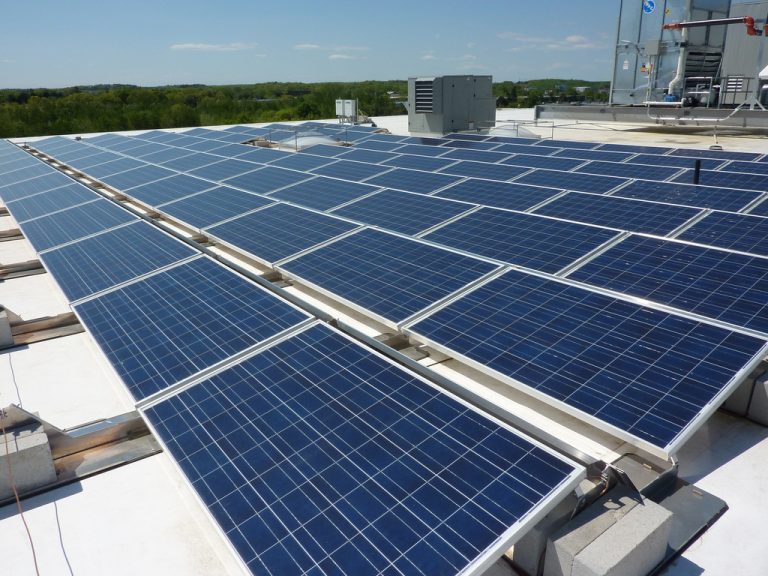 Pestujme energiu, nie rakovinu – Náhrada tabakových plantáží solárnymi panelmi