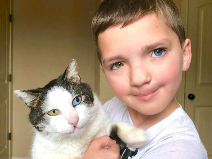 Chlapec s rázštepom pery a očami s dvoma rozličnými farbami si našiel mačku s rovnakými chorobami