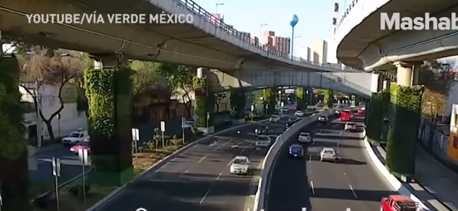 Mexico City bude čochvíľa pripomínať záhradu. Začalo sa s výsadzbou „stĺpových záhrad“, ktoré pomôžu nie len ovzdušiu