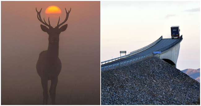 Zopár fotografií zachytených v ten najsprávnejší moment. Niektoré zaujmú, iné aj pobavia
