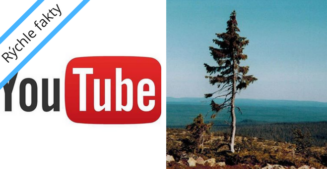 Zopár zaujímavosti ku káve, ktoré ti zaručene rozšíria obzory #98