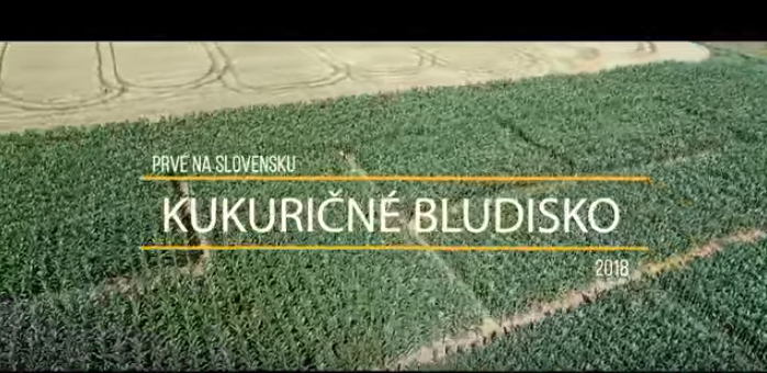 Na Slovensku máme obrovské bludisko postavené v kukurici. Trúfate si prejsť 2 km dlhý labyrint?