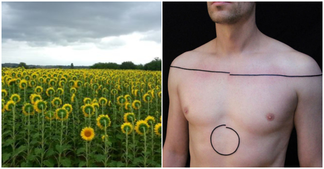 Tieto fotografie rozhodne nepotešia perfekcionistov