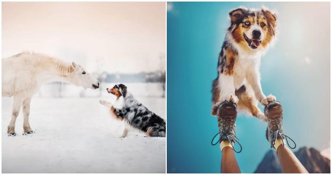 Fotografka z Česka cestuje so svojím psíkom a je to ten najlepší model