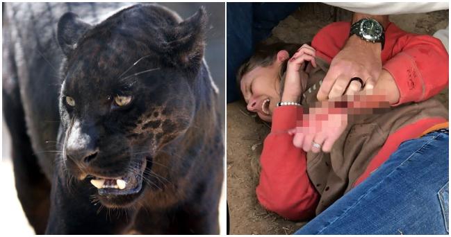 Žena vstúpila kvôli obyčajnej selfie do priestoru jaguárov, kde sa s jedným chcela z bezprostrednej blízkosti odfotografovať