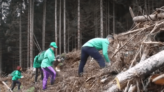 Neuveriteľní dobrovoľníci z celého Slovenska vysadili v Nízkych Tatrách už viac ako milión stromčekov!