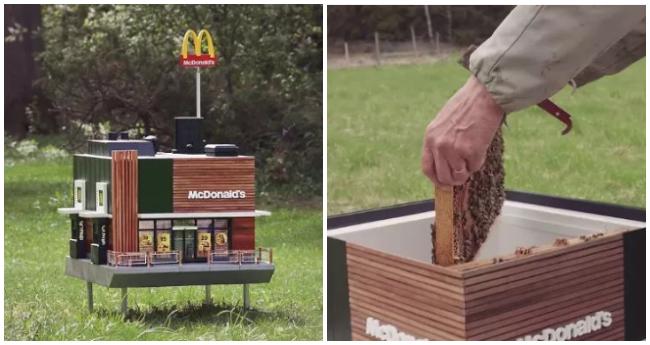 Vo Švédsku zriadili najmenší McDonald’s na svete a je určený pre včely