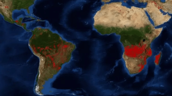 Stredná Afrika v plameňoch – za 2 dni tam zaznamenali trikrát viac požiarov ako v Amazonskom pralese